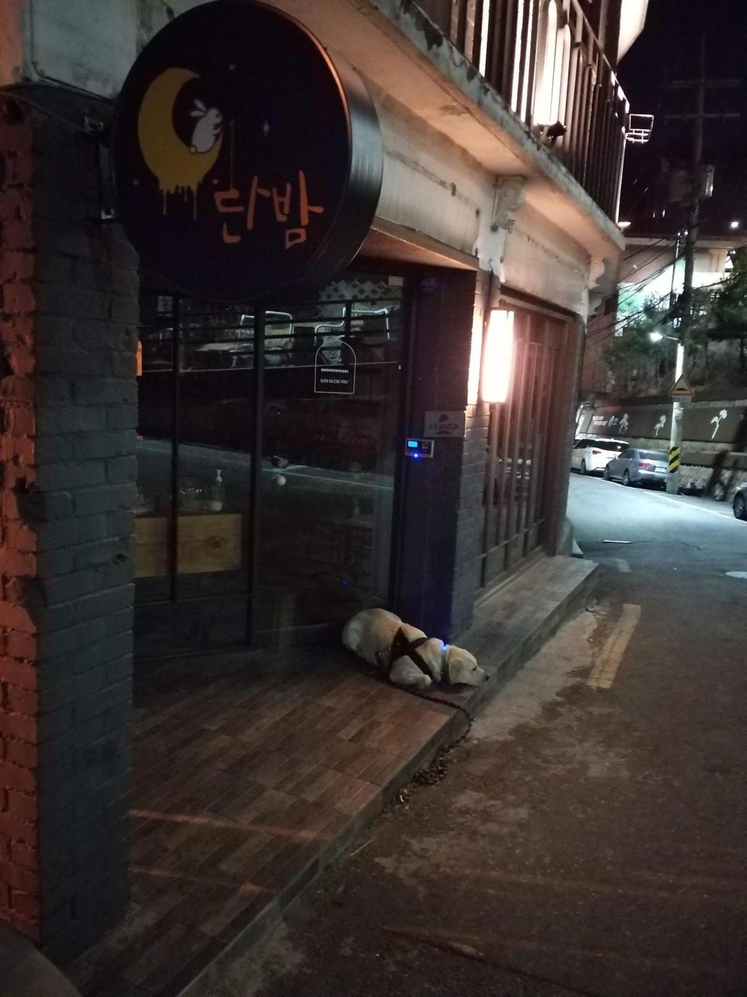 Newly Renovated 2 Bedroom Apartment #7 Seoul Exterior foto
