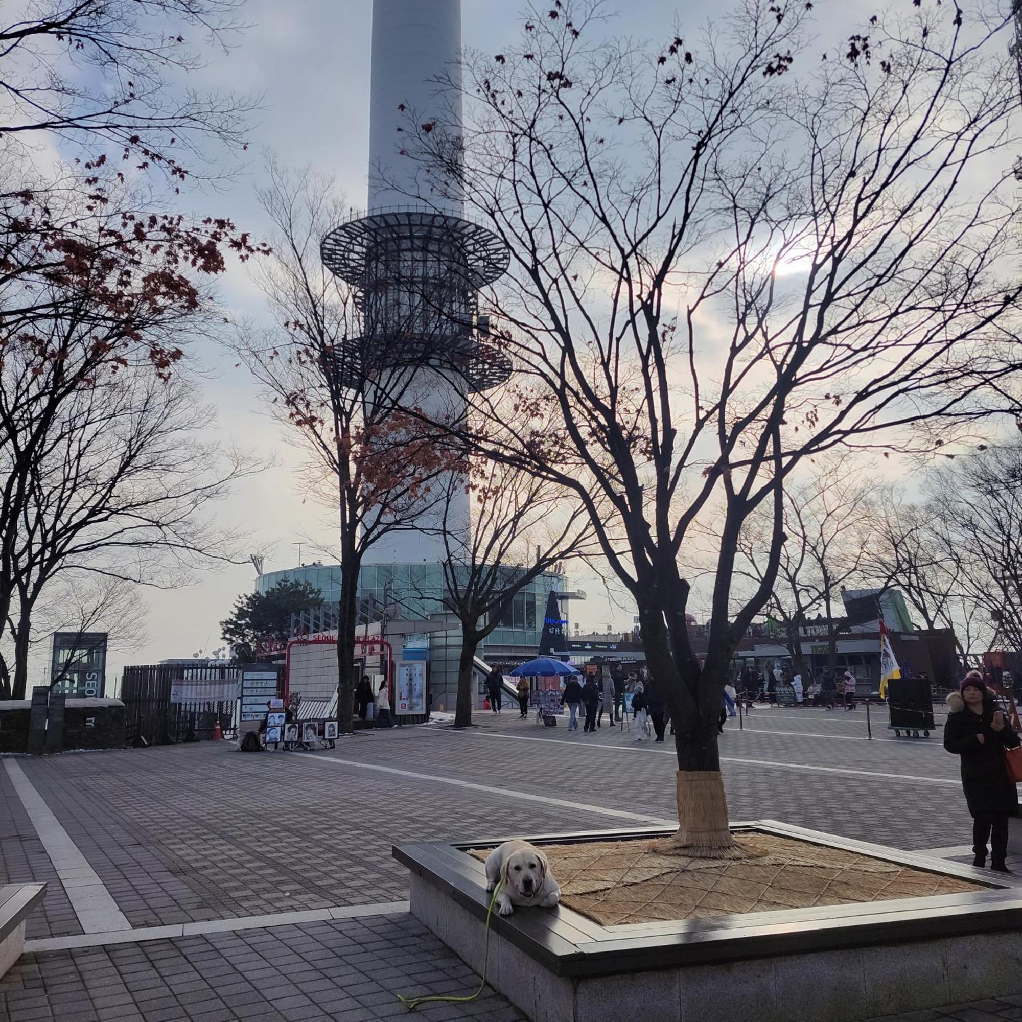 Newly Renovated 2 Bedroom Apartment #7 Seoul Exterior foto